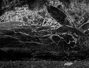 Titus Canyon Wall 16-6353 bw